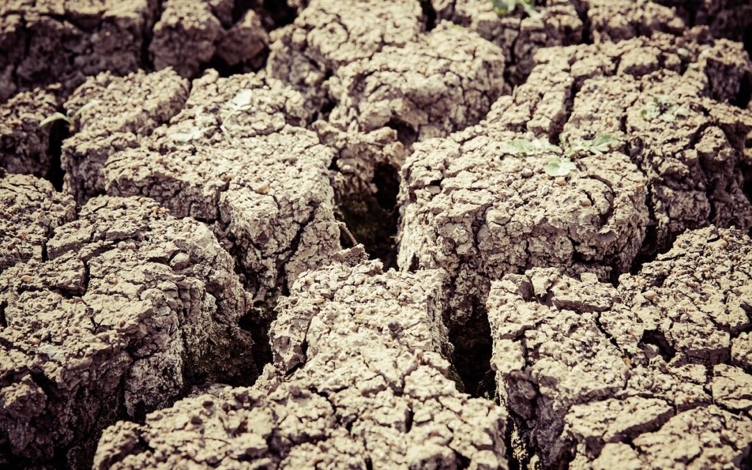 Strategies To Stop Lake Drought ~ Lakes In Trouble: Can…