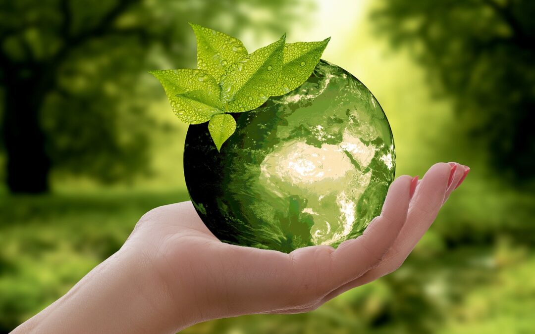 Sustainable Water Cycle Repair Solutions » Saving Our Water: Repairing…