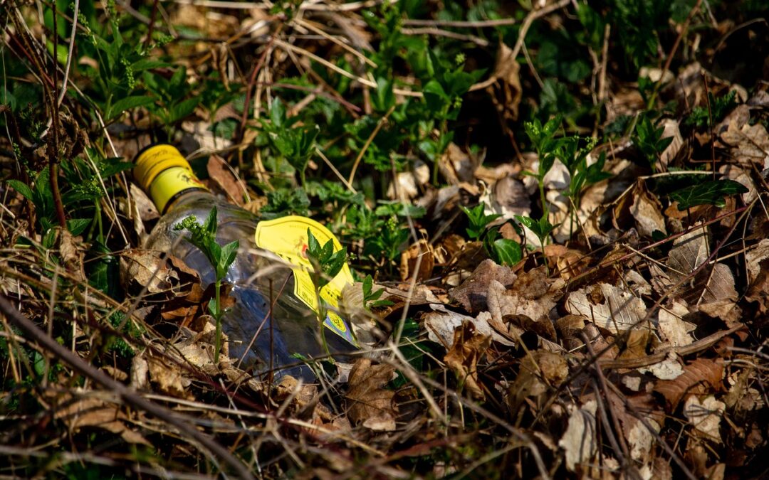 Sustainable Water Management ~ Saving Our Planet, One Drop At…