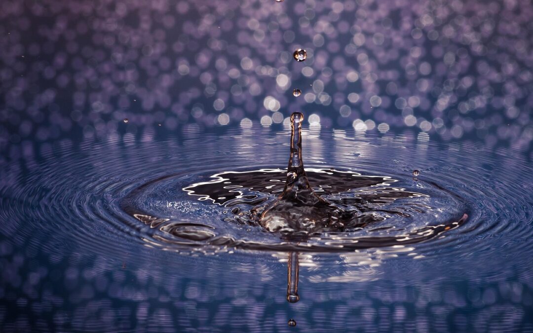 Techniques To Move Water Efficiently » Water Wise: Making The…