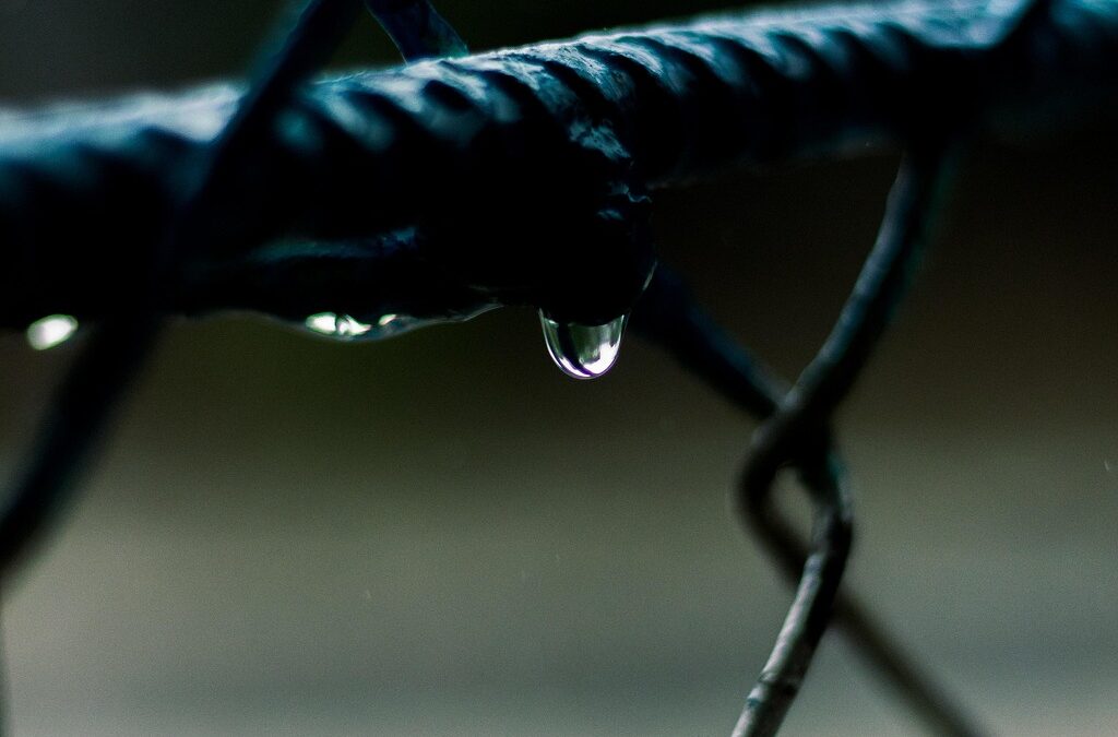 Water Cycle Wisdom ~ The Hidden Heroes Of Climate Change:…