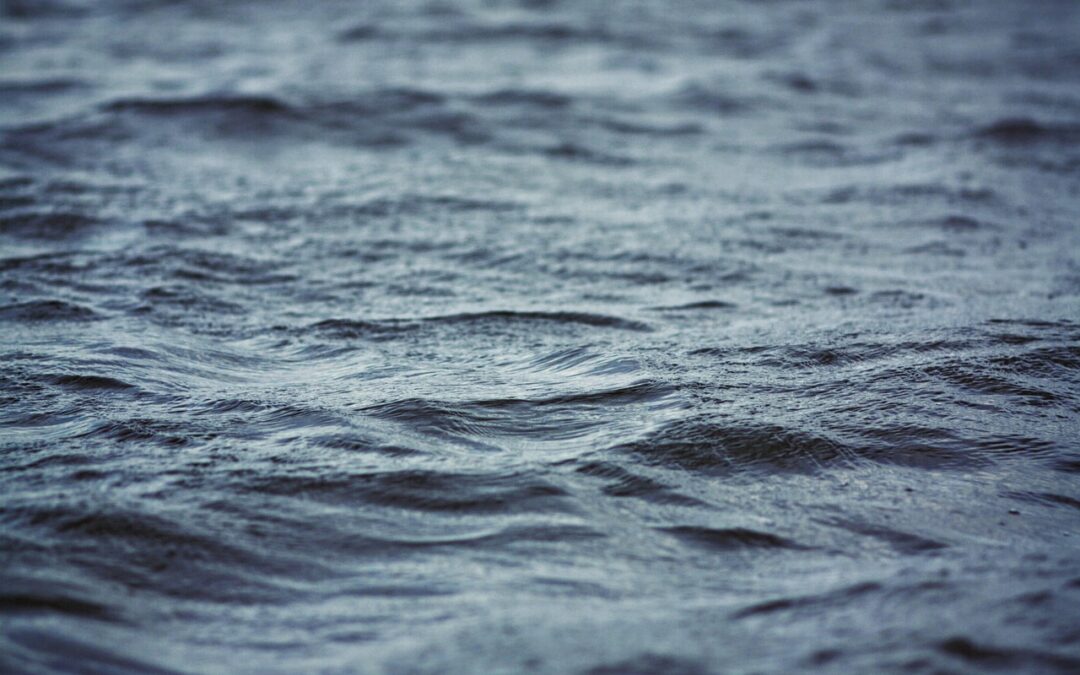 Water Cycle Reclamation Benefits ~ Saving Our Planet, One Drop…