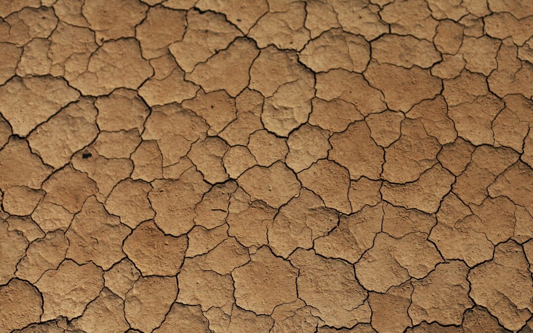 Water Management To Stop Lake Drought: Saving Our Lakes: How…