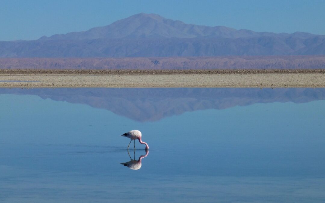 Water Management To Stop Lake Drought » Saving Our Lakes:…