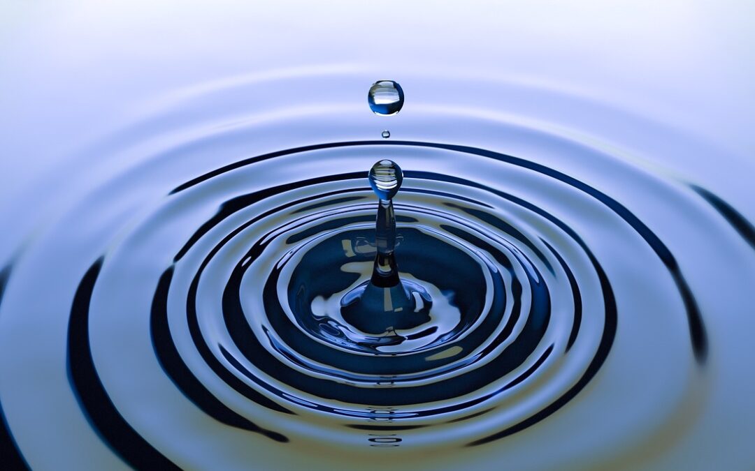 Water Relocation And Conservation » Saving The Great Basin: A…