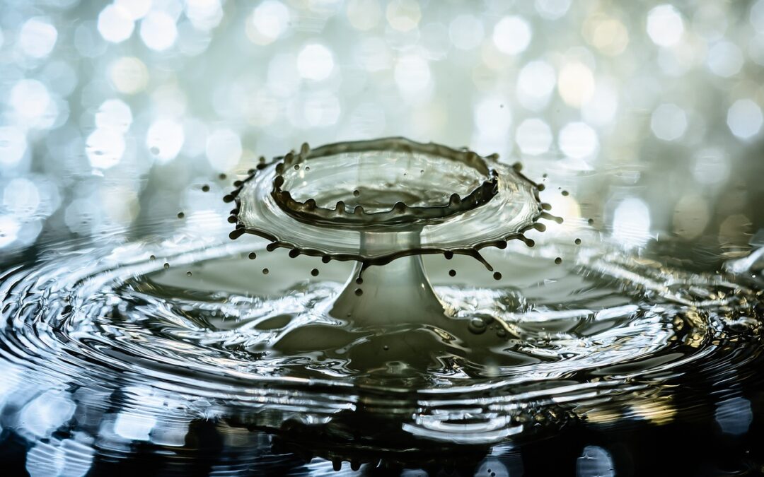 Water Relocation Solutions » Idaho’s Water Woes: Can We Move…