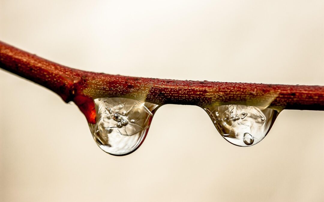 Water Relocation Solutions – Saving Our Planet, One Drop At…