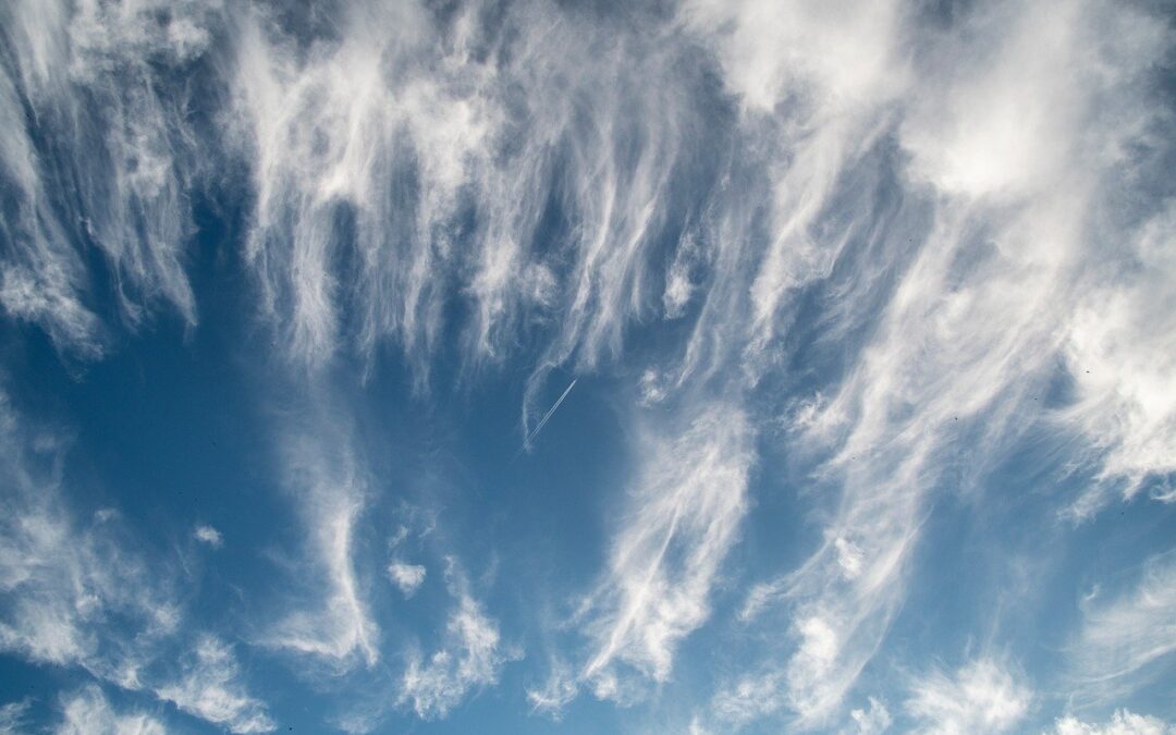 Weather: Nature’s Water Works: How Plants, Soils, And Water Regulate…