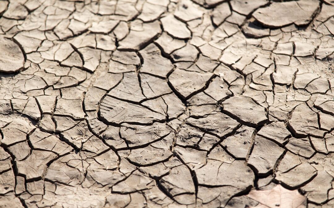 An Opinion Piece Arguing For The Need For Policies That…