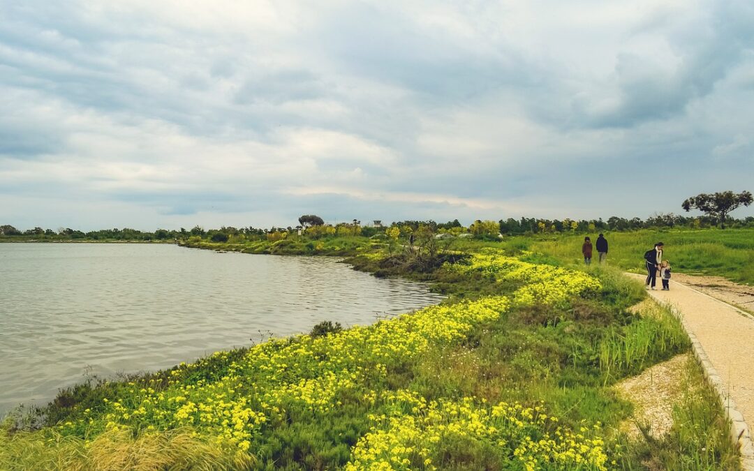Climatechange,: Our Vanishing Lake: Climate Change And The Great Salt…