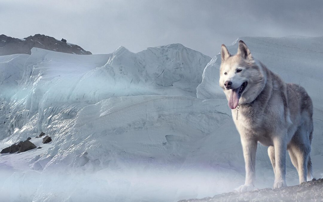 Movethewater, – Our Planet’s Big Thirst: What Is MoveTheWater? TL;DR…