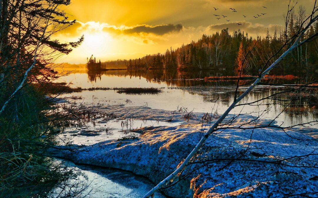 Summarizing The Key Findings Of The UNEP Foresight Brief On…