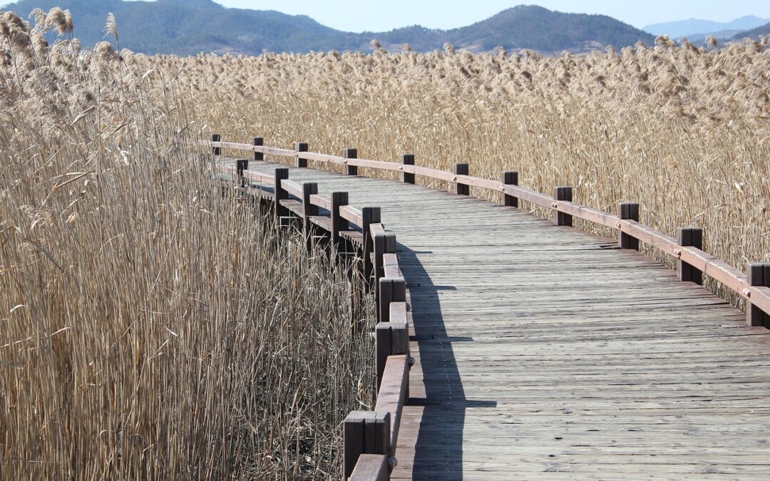 Cost-effective Water Transportation Methods ~ Nevada’s Water Woes: Can We…