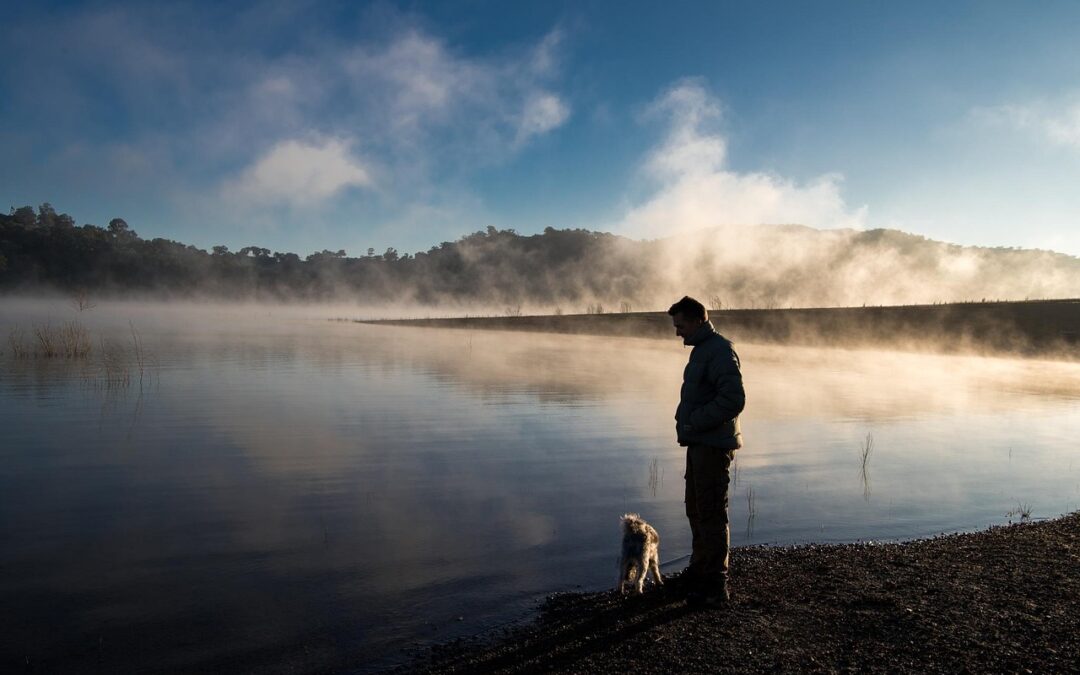 Creating Man-made Lakes Can Help With The Water Cycle Problems…