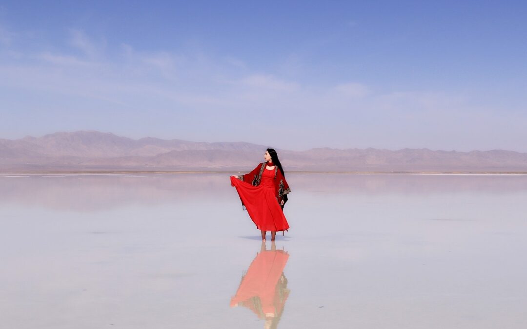 Great Salt Lake Conservation Strategies ~ Saving The Great Salt…
