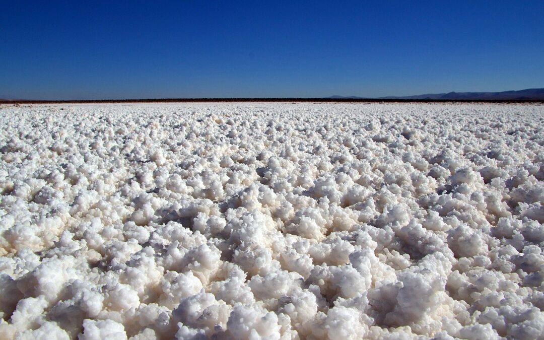 Great Salt Lake Restoration Projects – Saving Our Salty Sea:…