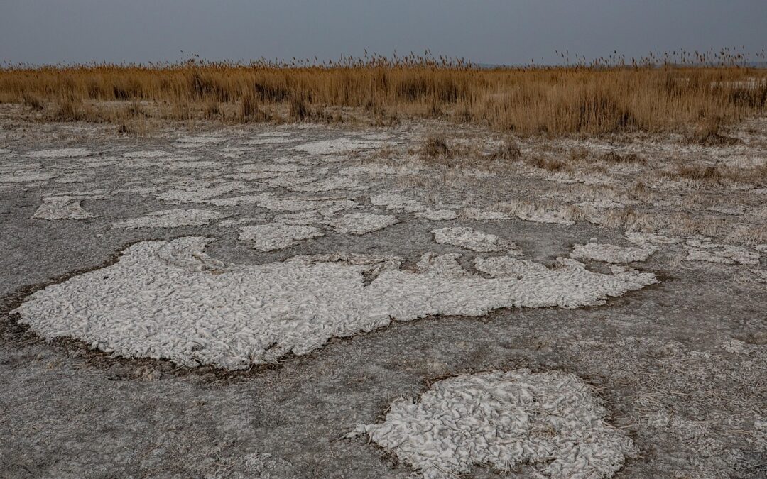 Great Salt Lake, / The Great Salt Lake: A Giant…