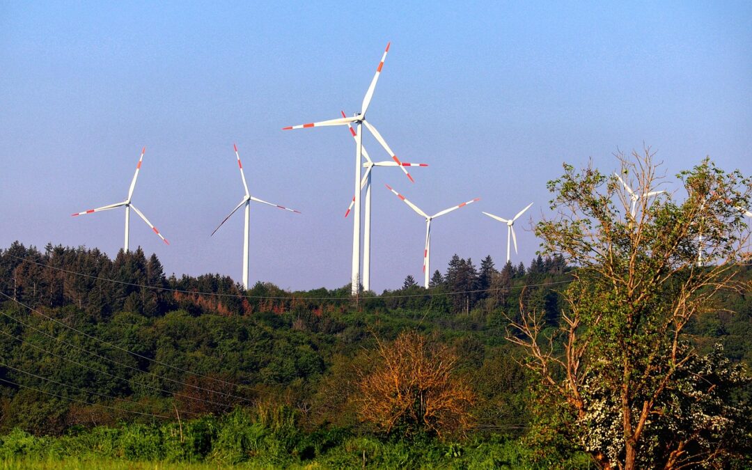 Green Environmental Projects: Saving Our Planet: How Green Projects Are…
