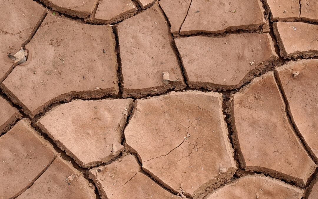 Innovative Climate Solutions » Fighting Climate Change: Cool Ideas For…