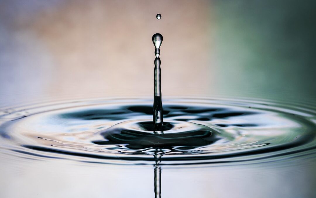 Move Water For Agricultural Purposes | 💧 The Journey Of…