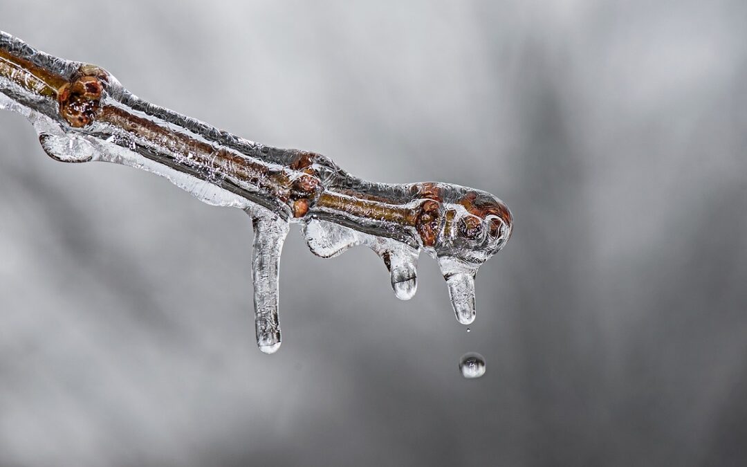 Partnerships With Active Climate Rescue Initiative » Colorado’s Water Future:…