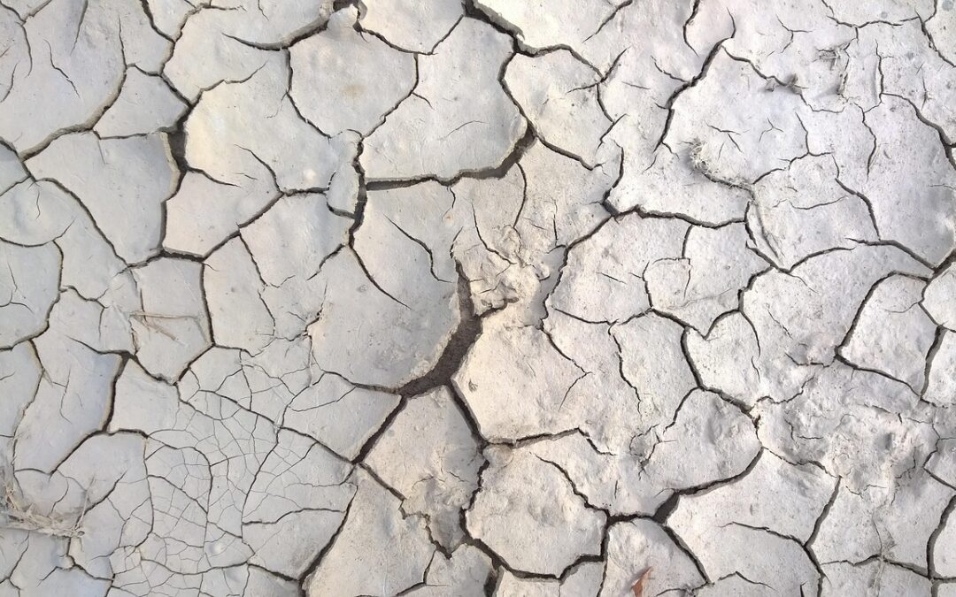 Stop Lake Drought With Conservation – Saving Our Lakes: A…