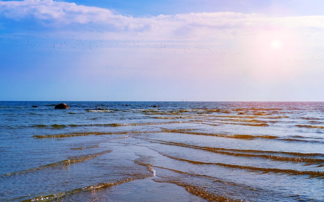 Strategies To Move Water Safely | 💦 Moving Water Safely:…