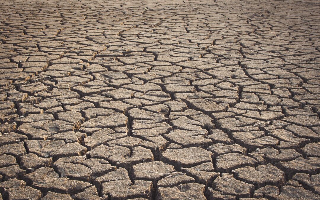 Strategies To Stop Lake Drought: Utah’s Shrinking Lakes: Can We…