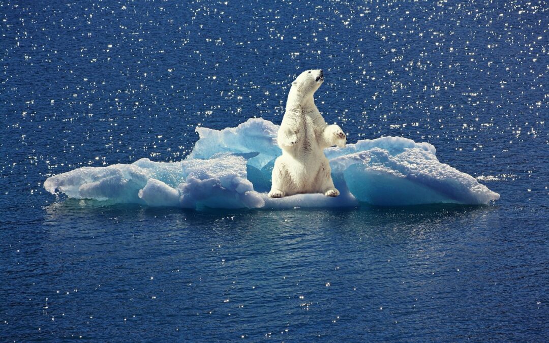 Success Stories Of Active Climate Rescue Initiative » Idaho’s Fight…